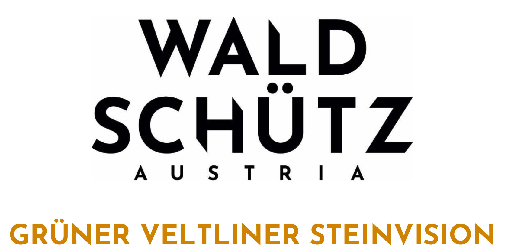 Waldschütz Steinvision 2017